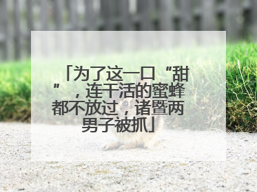 为了这一口“甜”，连干活的蜜蜂都不放过，诸暨两男子被抓