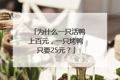为什么一只活鸭上百元，一只烤鸭只要25元？