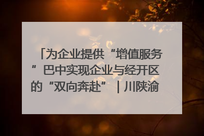 为企业提供“增值服务”巴中实现企业与经开区的“双向奔赴”｜川陕渝网络名人巴中行