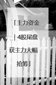 主力资金｜4股尾盘获主力大幅抢筹