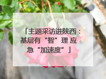 主题采访进陕西：基层有“智”理 应急“加速度”