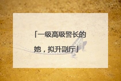 一级高级警长的她，拟升副厅