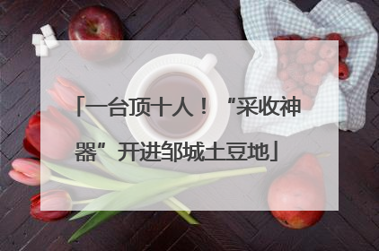 一台顶十人！“采收神器”开进邹城土豆地
