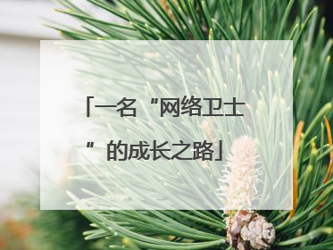 一名“网络卫士”的成长之路
