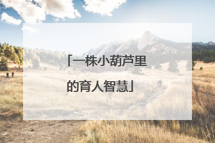 一株小葫芦里的育人智慧