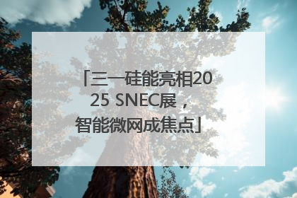 三一硅能亮相2025 SNEC展，智能微网成焦点