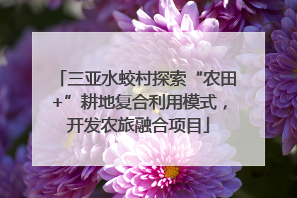三亚水蛟村探索“农田+”耕地复合利用模式，开发农旅融合项目