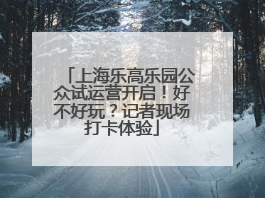 上海乐高乐园公众试运营开启！好不好玩？记者现场打卡体验