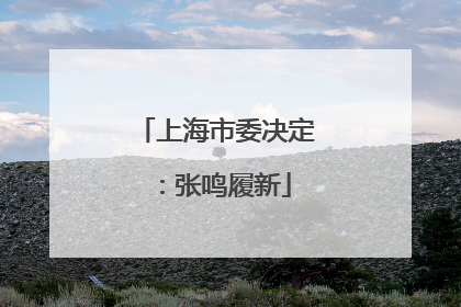 上海市委决定：张鸣履新