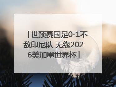 世预赛国足0-1不敌印尼队 无缘2026美加墨世界杯