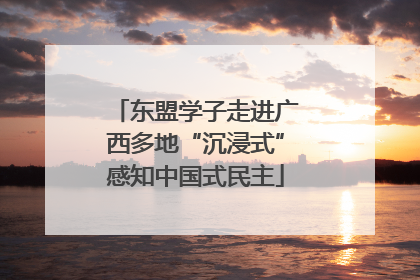 东盟学子走进广西多地“沉浸式”感知中国式民主