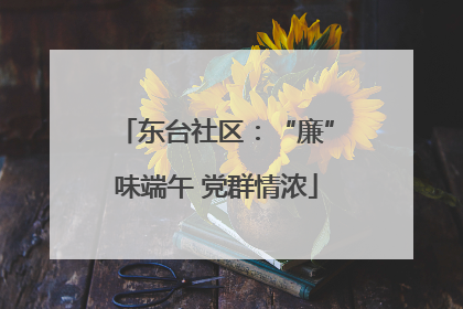 东台社区：“廉”味端午 党群情浓