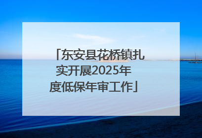 东安县花桥镇扎实开展2025年度低保年审工作