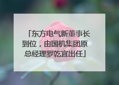 东方电气新董事长到位，由国机集团原总经理罗乾宜出任