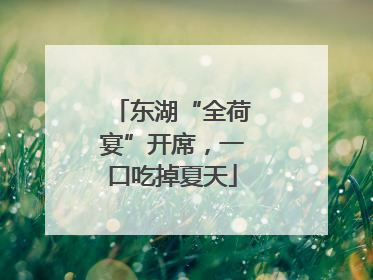 东湖“全荷宴”开席，一口吃掉夏天