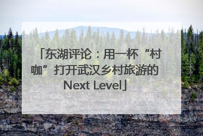 东湖评论：用一杯“村咖”打开武汉乡村旅游的Next Level