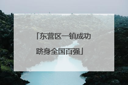 东营区一镇成功跻身全国百强