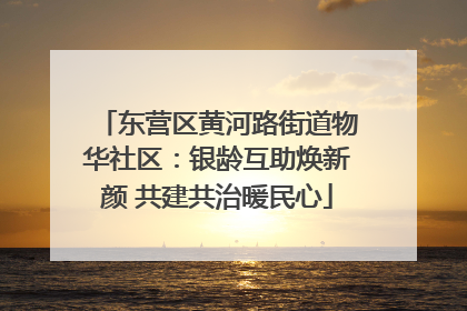 东营区黄河路街道物华社区：银龄互助焕新颜 共建共治暖民心