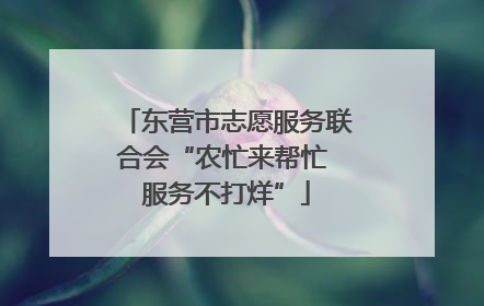 东营市志愿服务联合会“农忙来帮忙 服务不打烊”