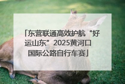 东营联通高效护航“好运山东”2025黄河口国际公路自行车赛
