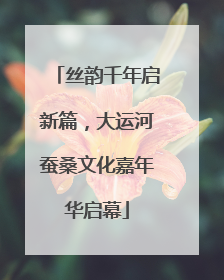 丝韵千年启新篇，大运河蚕桑文化嘉年华启幕