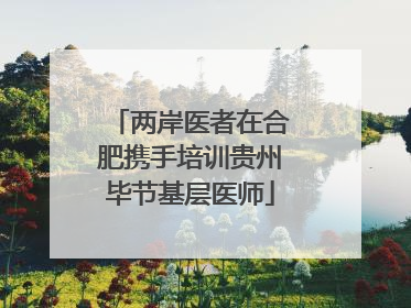 两岸医者在合肥携手培训贵州毕节基层医师