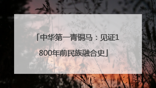 中华第一青铜马：见证1800年前民族融合史