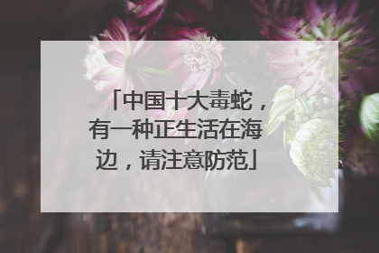 中国十大毒蛇，有一种正生活在海边，请注意防范