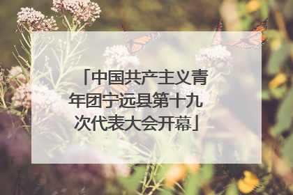 中国共产主义青年团宁远县第十九次代表大会开幕