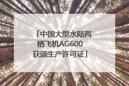 中国大型水陆两栖飞机AG600获颁生产许可证