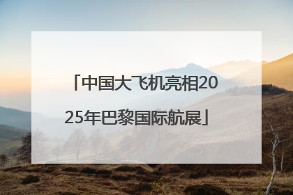 中国大飞机亮相2025年巴黎国际航展