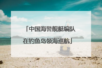 中国海警舰艇编队在钓鱼岛领海巡航