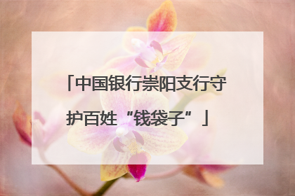 中国银行崇阳支行守护百姓“钱袋子”