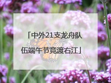 中外21支龙舟队伍端午节竞渡右江