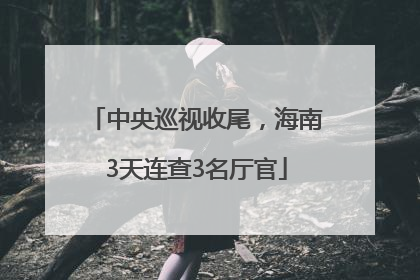 中央巡视收尾，海南3天连查3名厅官