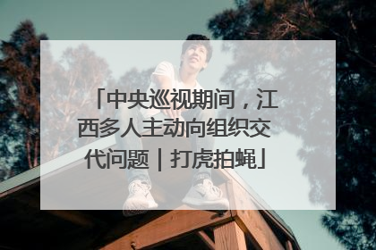 中央巡视期间，江西多人主动向组织交代问题｜打虎拍蝇