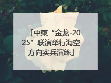 中柬“金龙-2025”联演举行海空方向实兵演练