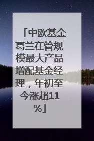 中欧基金葛兰在管规模最大产品增配基金经理，年初至今涨超11%