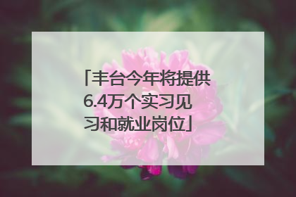 丰台今年将提供6.4万个实习见习和就业岗位