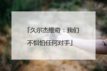 久尔杰维奇：我们不惧怕任何对手