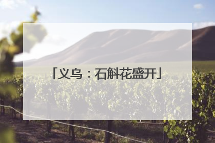 义乌：石斛花盛开