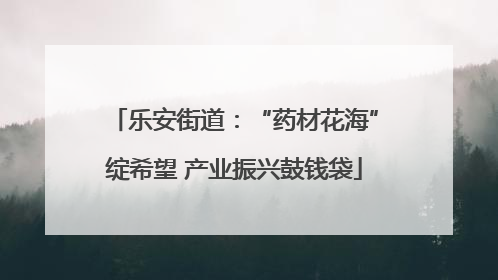乐安街道：“药材花海”绽希望 产业振兴鼓钱袋