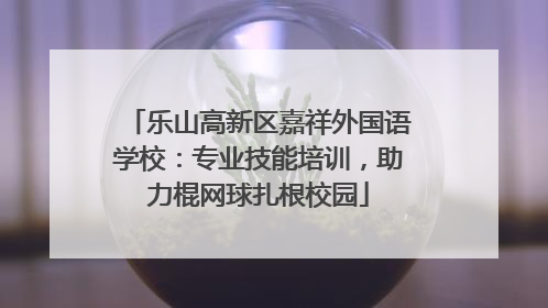乐山高新区嘉祥外国语学校：专业技能培训，助力棍网球扎根校园