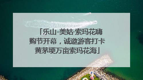 乐山-美姑·索玛花嗨购节开幕，诚邀游客打卡黄茅埂万亩索玛花海