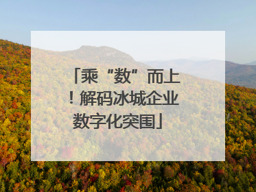 乘“数”而上！解码冰城企业数字化突围
