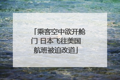 乘客空中欲开舱门 日本飞往美国航班被迫改道