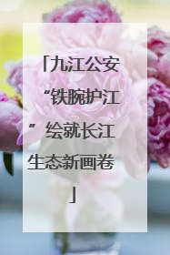 九江公安“铁腕护江”绘就长江生态新画卷