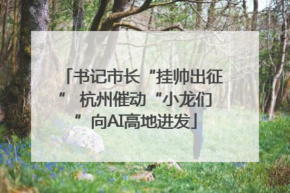 书记市长“挂帅出征” 杭州催动“小龙们”向AI高地进发