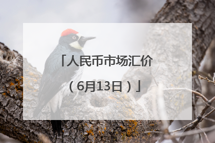 人民币市场汇价（6月13日）