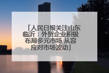 人民日报关注山东临沂：外贸企业积极布局多元市场 从容应对市场波动